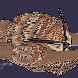 La sieste du Owlbear